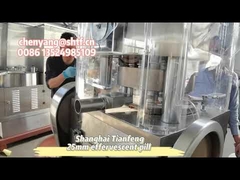 ZP17B kippenbouillon bruistablet tablettenpersmachine