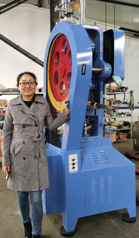 THP-van de de Mandtablet van de Reeksbloem van de Persmachine het Ononderbroken Type